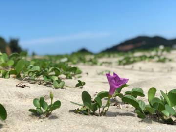 四川红色革命基地