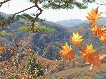 五个红色教育基地党史教育，十五个红色教育基地